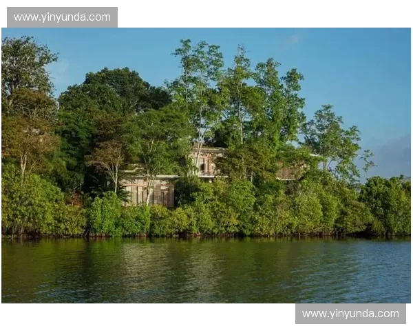 围绕斯里兰卡足球联赛展望南亚地区足球多维度发展新趋势未来蓝图